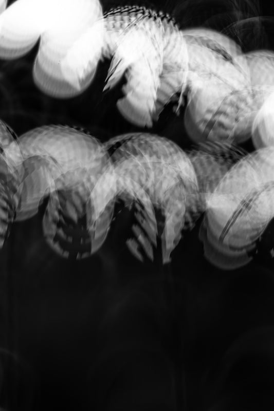 Blütensonate #56