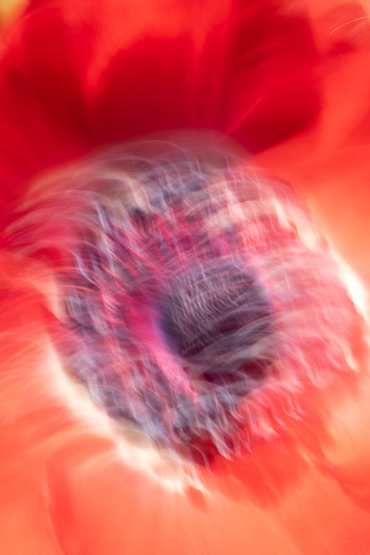 Blütensonate